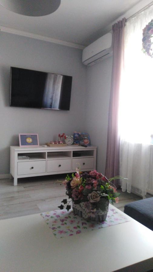 Apartament Antek Klimatyzowany Oświecim Exterior foto