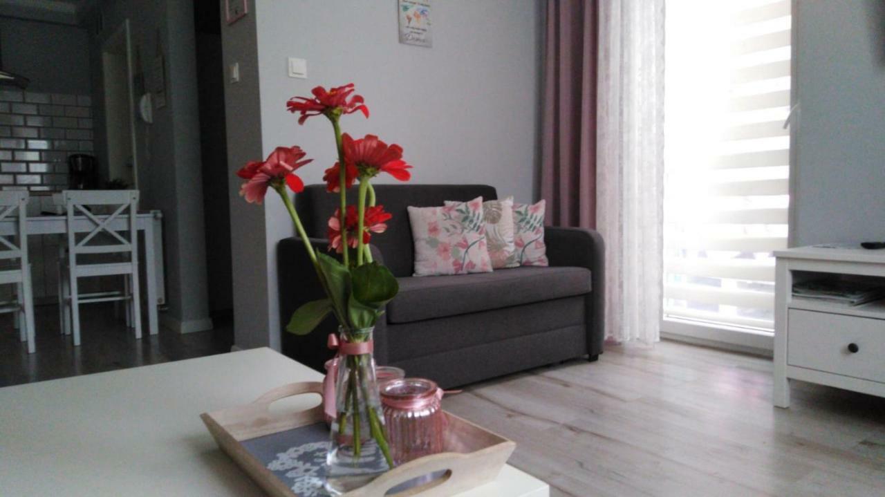 Apartament Antek Klimatyzowany Oświecim Exterior foto